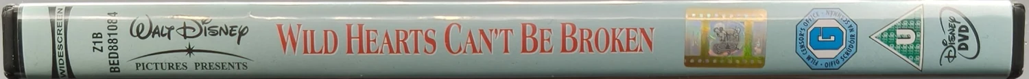 DVD) Wild Hearts Can't Be Broken - Laukaava sydän (1991)